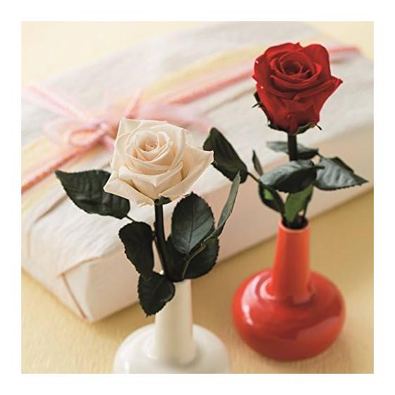Flor Ever Preserved Flower Short Stem Rose Cherry Red Approx. Flower Diameter 3.5~5 x L20cm FL000072-005