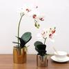 Simulation Plant Phalaenopsis Pot Home Living Room Decoration Fake Flower Flower Pot Simulation Flower Factory Wholesale