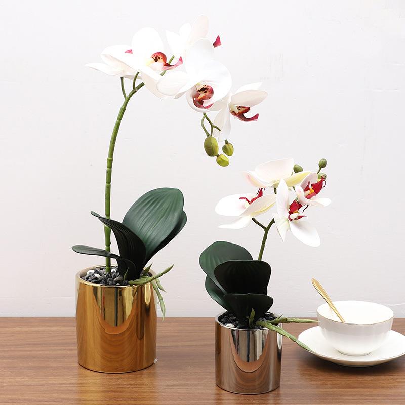 Simulation Plant Phalaenopsis Pot Home Living Room Decoration Fake Flower Flower Pot Simulation Flower Factory Wholesale