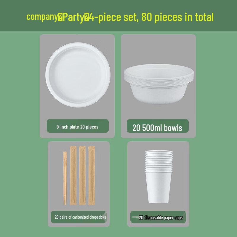 ZISIZ Disposable Aluminum Foil Bowl & Plate Set