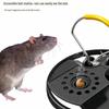 High-Sensitivity Alloy & Plastic Rat Trap for Home and Outdoor Use