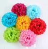 Paper Flower Balls: Festival, Birthday, Party, Wedding & Event Decorations Streamers (European & American Style)