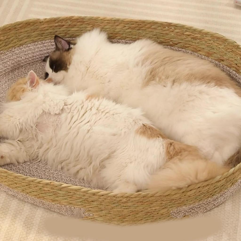 Woven Straw Cats Indoor Pet Furniture Multifunctional Post Natural Straw Bedding for Small Dog and Cats Cotton Rope Bed