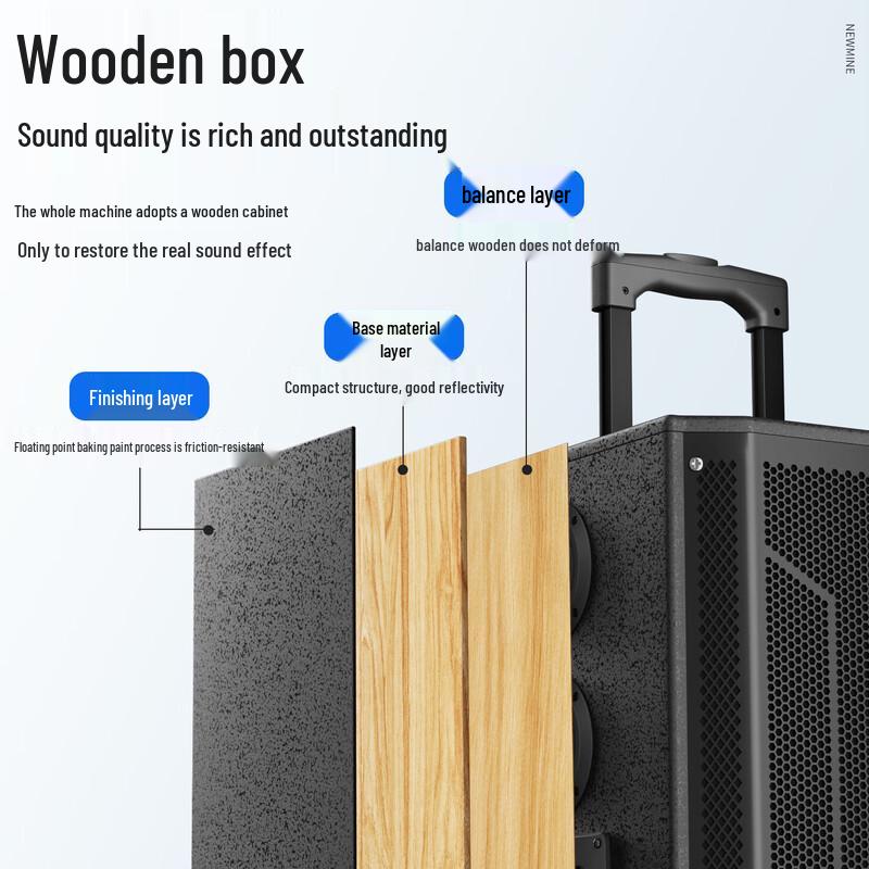 Newmine N527 15-inch Portable Bluetooth KTV Speaker (CN Version)