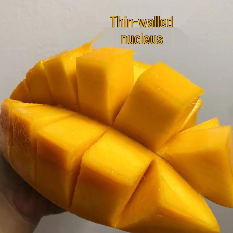 Premium Fresh Mangoes