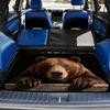 1Pcs Brown Bear Paw Print Car Trunk Mat with Anti Slip Cargo Liner Waterproof Rear Storage Protector Floor Mat for SUV Sedan Veh