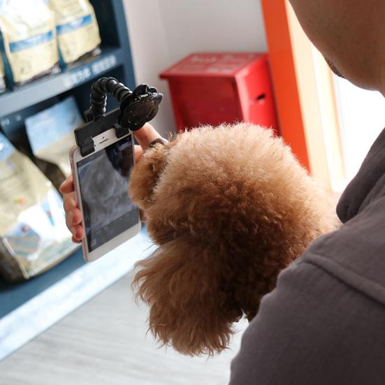 Phone Clip for Pet Photos, Dog Photo Shoot Tool, Bendable Pole with Pet Treat Clip, Get Your Pet to Look at the Camera Instantly for Cats Dogs