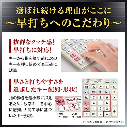Casio Professional Business Calculator 12 Digits Green Purchasing Law Compliant Desktop Type DS-12WT-N