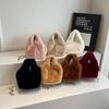 Plush Bag Women's Hand Bag 2025 New Fashion Niche Chain Messenger Bag Winter Plush Bucket Bag