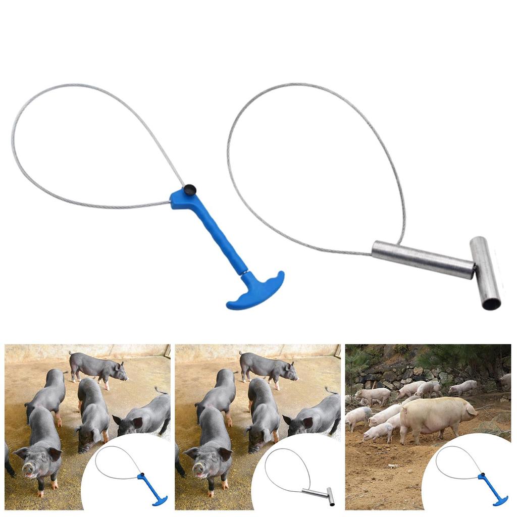 Pig Catcher Pig Holder Noose Compact Adjustable Livestock Supplies Animal Holder Catch Tool for Dog Piglet Boar Raccoons Goat