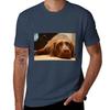 Chocolate Lab Tshirt Running Gym Short Sleeve Sports Tee