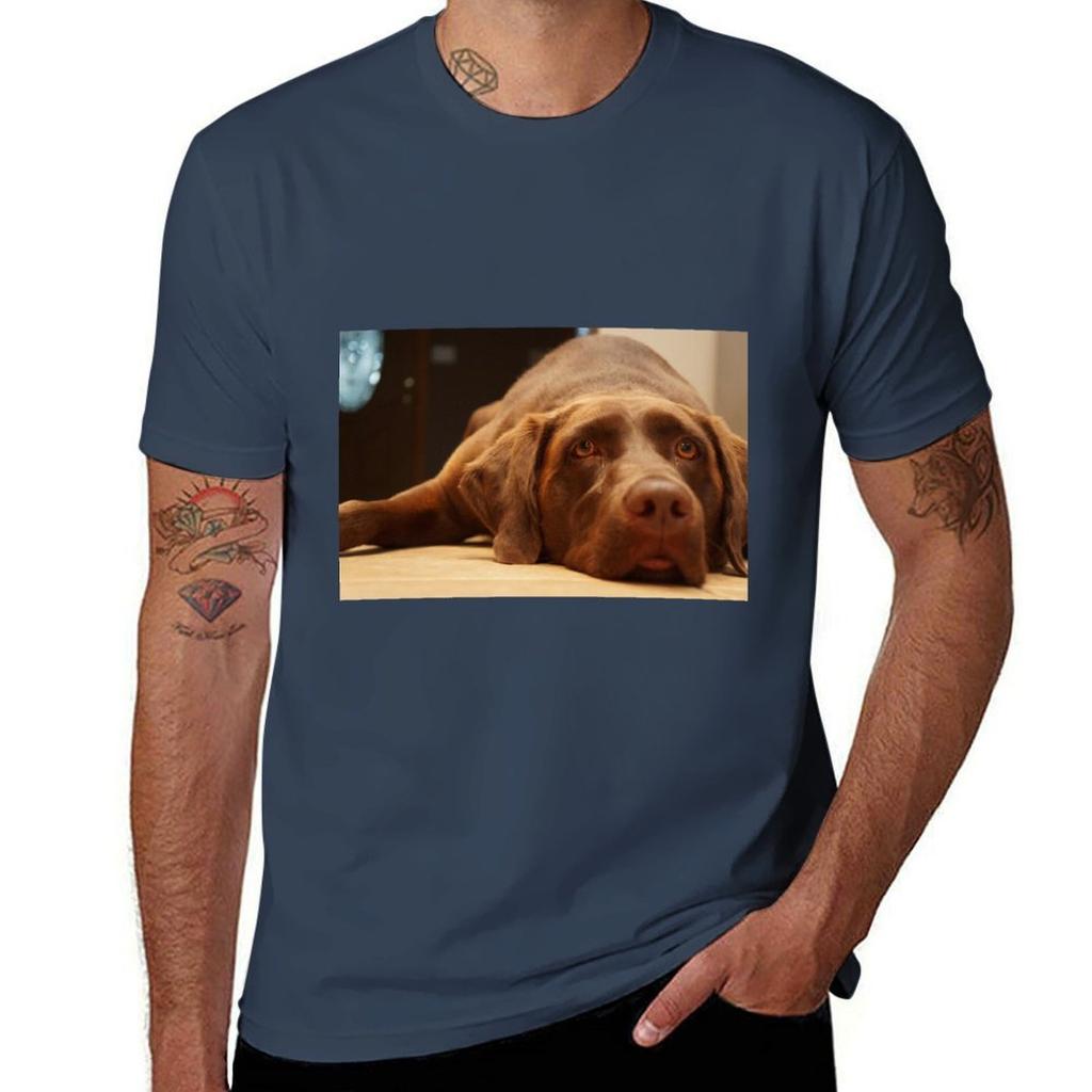 Chocolate Lab Tshirt Running Gym Short Sleeve Sports Tee