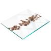 Durable and Stylish Glass Kitchen Backsplash with Coffee Bean Pattern 60X52 Cm