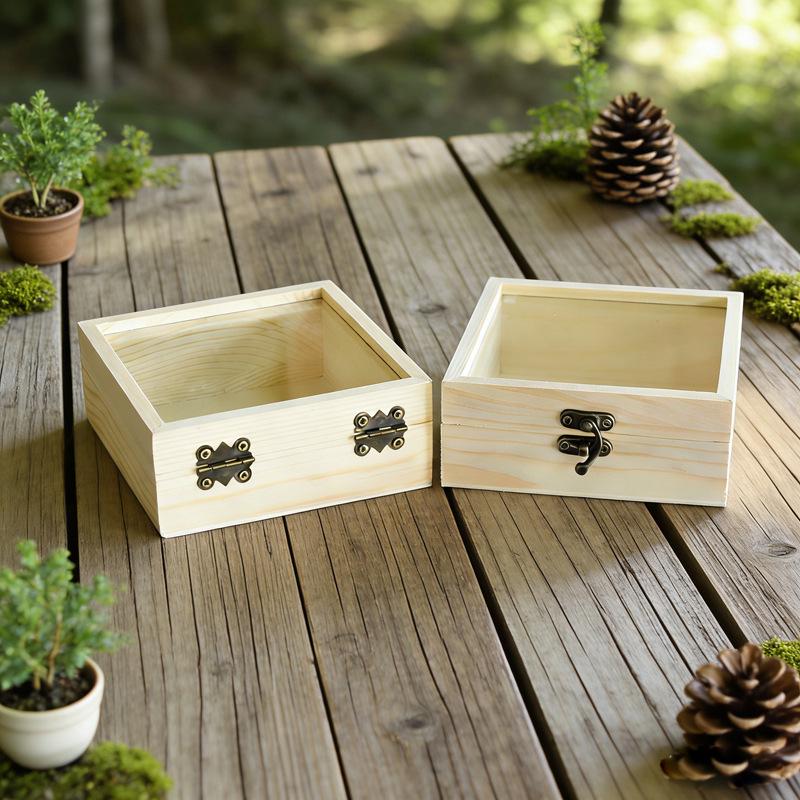 In-Stock Wooden Box with Glass Lid: Transparent Insect Display, Mining Ore, & Children's Gift Box