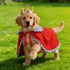 Pet Dog Costume: Crown Cape for Birthday & Party Decoration