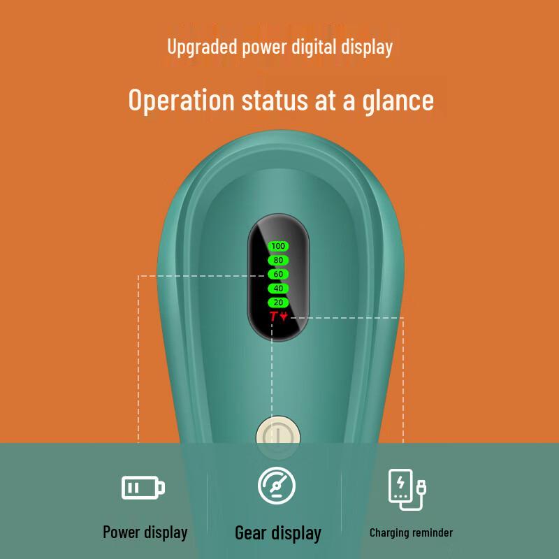 Wiederaufladbarer Fusselrasierer & Fusselentferner