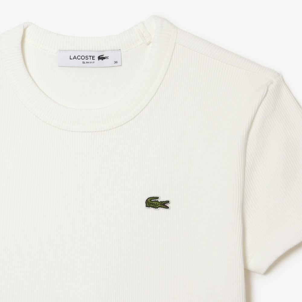 [lacoste] Women's Slim Fit Ribbed Short Sleeve T-Shirt TF5538-56G70V
