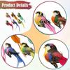 6Pcs Artificial Bird Ornaments Decorative Fake Birds Clip on Lifelike Figurine Tree Branch Decors