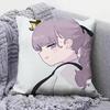 Gosling Lapwing   Home Sofa Cushion Covers and Aecorative Custom Pillow Covers