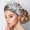 White Feather Tiaras Crystal Hair Clip for Bridal Stylish Wedding Headpiece Accessories Engagement Party Hair Accessory