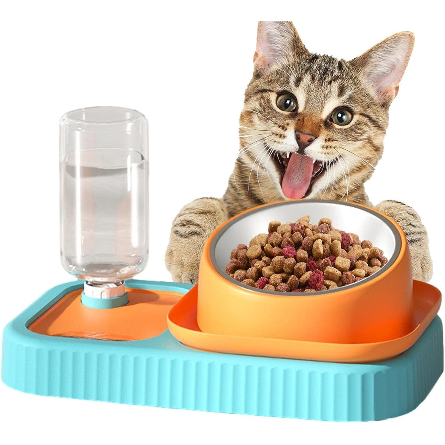 

ROBOT PLAZA Pet Food Bowl, Anti-Slow Eating, 15 Degree Inclined, Water and Feeding, Cat Bowl, Pet Bowl for Dogs and Cats