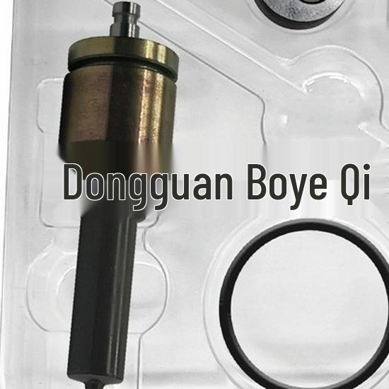 Premium Repair Kit 295700-1020 for 23088481 Fuel Injector