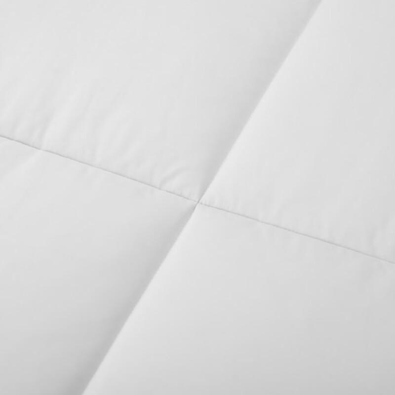 Mercury Home Textiles Antibakterischer Polyester-Bettdeckenbezug