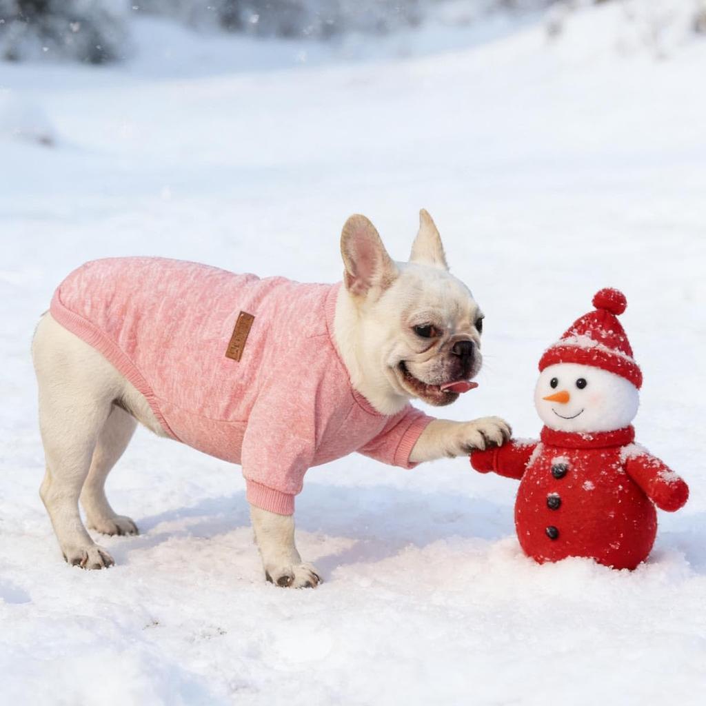 Zimowy Sweter dla Psa Małego i Średniego Rozmiaru Dzianinowy Zwierzę Domowe Kot Pies Zimowy Rozmiar Psów, Ubrania Jesienno-Zimowe, Ubrania, Do Noszenia, Koszulka, Ubrania, Stylowy, Uroczy,