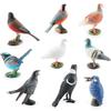 Atemberaubendes, realistisches Vogelfiguren-Set mit farbenfrohen Tauben-, Elster- und Kuckucksmodellen
