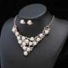 Zirkonia Halskette Elegante Imitation Perlen Halskette Halskette Ohrring Set Formelle Schmuck Accessoires Für Brautjungfern