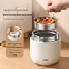 Insulated Double-Layer Stainless Steel Lunch Box