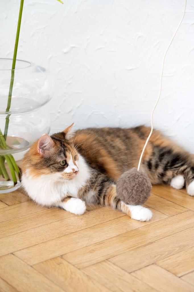 Natural Woolen Cat Toy: Ball String / Beige