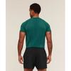 Gymshark Apex Seamless T shirT weighTed Teal muTed Teal A2b3s Tbw7