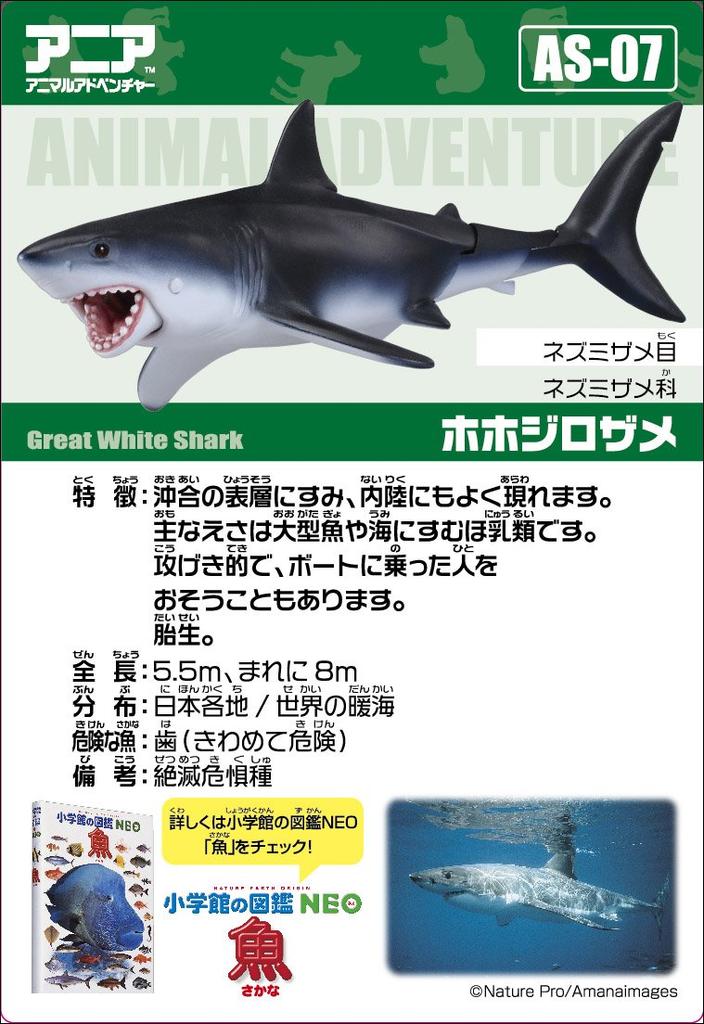 Ania Great White Shark AS-07