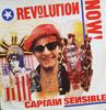 12inch Record CAPTAIN SENSIBLE  Revolution Now AMY395 AM 1987 UK Rock Used