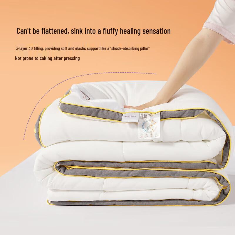 Mercury Home Textiles Warm All-Season Thickened Quilt