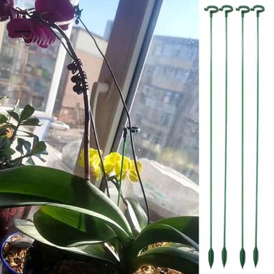 10 pezzi di supporto per piante con design a fessura, facile da usare, versatile, per interni ed esterni, per piante singole, steli e fiori, con gabbia ad anello di supporto