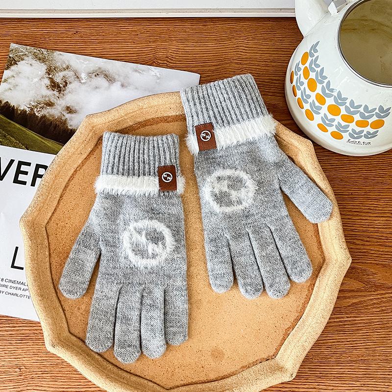 Knitted Wool Gloves Winter Warm Touch Screen Cute New Cartoon Cold-proof Men and Women Five-finger Label Style