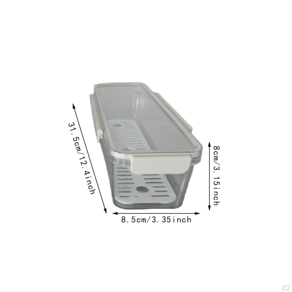Pasta Container Food Keeper Clear Sturdy with Lid Noodle Holder Spaghetti Storage