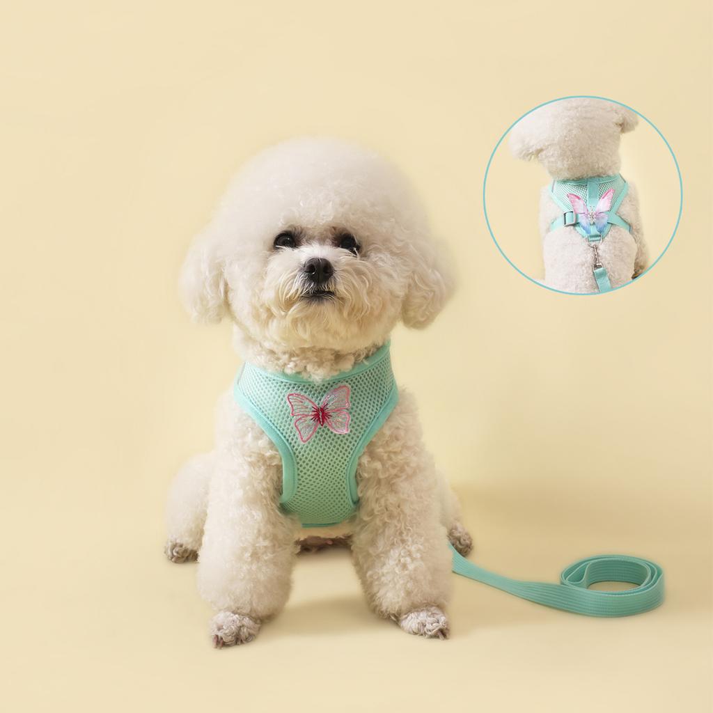 Butterfly Dog Harness and Leash Sets for Small Dog Leash Breathable Cat Harness and Leash Sets Outwalking Dog Strap Pet Harness
