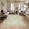 Decorative Area Rugs, Rugs For Living Room, Machine Washable Rug, Non Slip Rug