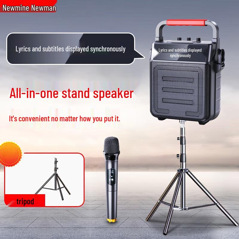 

Newman K19 Dual Microphone All-in-One KTV Speaker