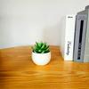 Simulated Succulent Bonsai Pot With Lightweight Pvc For Home Office Interior Design