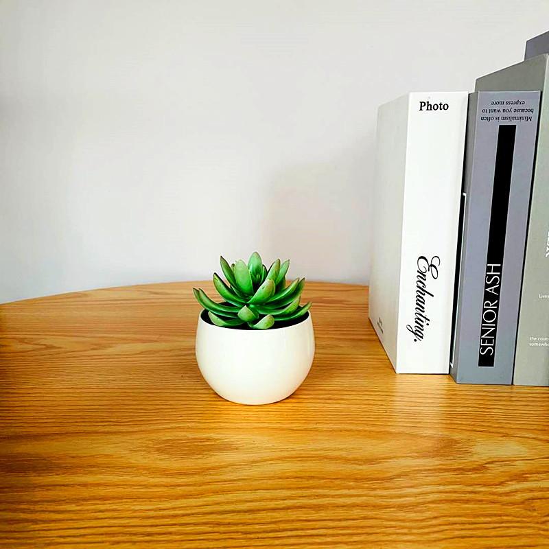 Simulated Succulent Bonsai Pot With Lightweight Pvc For Home Office Interior Design
