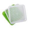 Water Cultivation Peanut Seedling Tray Sprout Planting Box Garden Supplies Sprout Planting Pot