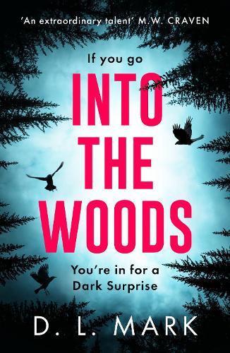 Into the Woods by D. L. Mark Paperback Book 9781800246362