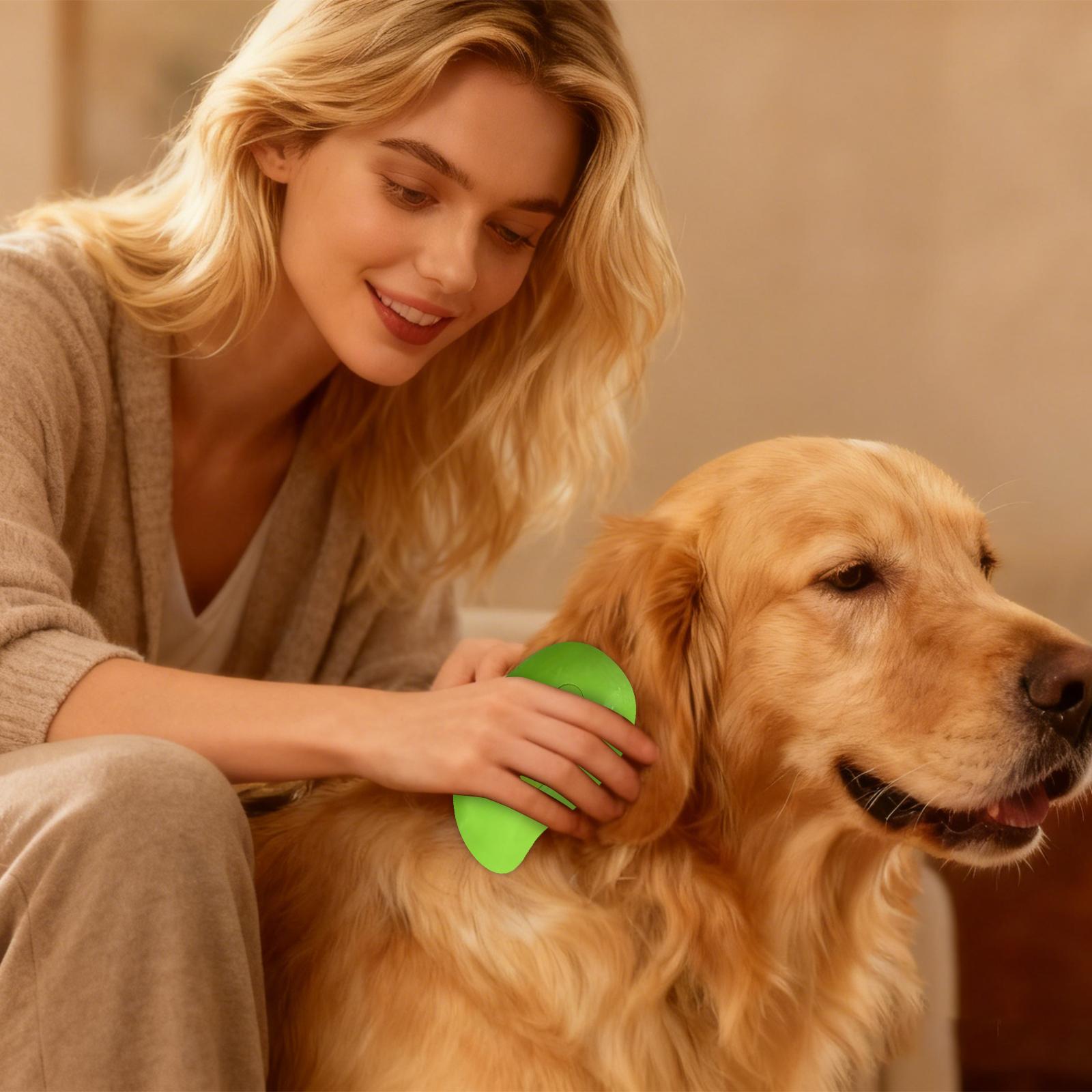 

Pet Comb Electric Steam Spray Brush For Cats And Dogs, Massage Comb With One-Button Spray To Prevent Flying Hair One Size