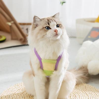 Pets Can Be Towed Spring and Summer Cat Sling Rainbow Clouds Two-legged Adult Cat Kitten Dog Summer Cat Clothing