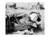 A Nous la Liberte 4K repair version [Blu-ray] Director Rene Clair NEW from Japan