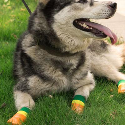 Giyim ve ayakkabı – Köpek ayakkabıları